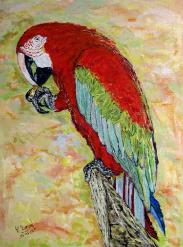 Le perroquet rouge