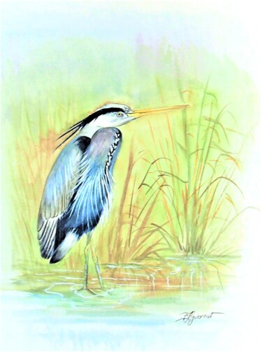 héron cendré- aquarelle originale signée Painting titled "héron cendré- aquar…" by Patricia Giroldini Hyvernat, Original Artwork, Watercolor