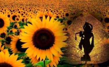 Photography titled "Sunflower" by Krishna Art Gallery, Original Artwork, Analog photography