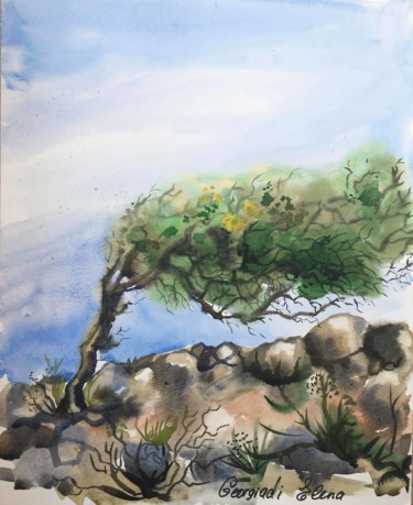 Olive tree high in the mountains Painting titled "Olive tree high in…" by Elena Georgiadi, Original Artwork, Watercolor