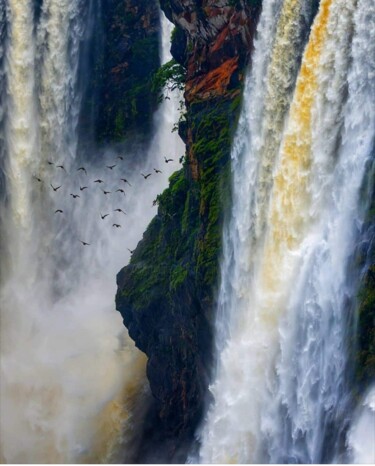 Photography titled "Amazing fall" by Krishna Art Gallery, Original Artwork, Analog photography