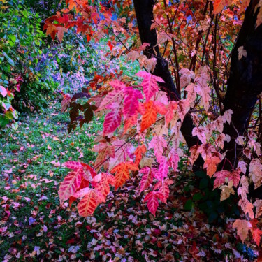 Photographie intitulée "VIBRATIONS VEGETALES" par Jean-Luc Osswald, Œuvre d'art originale, Photographie manipulée