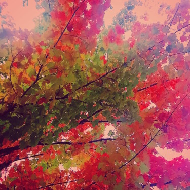 Photographie intitulée "PALETTE D'AUTOMNE" par Jean-Luc Osswald, Œuvre d'art originale, Photographie numérique