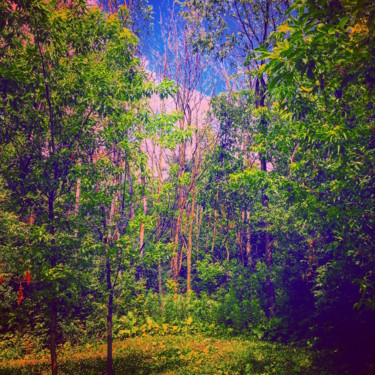 Photographie intitulée "BLUE FOREST" par Jean-Luc Osswald, Œuvre d'art originale, Photographie manipulée