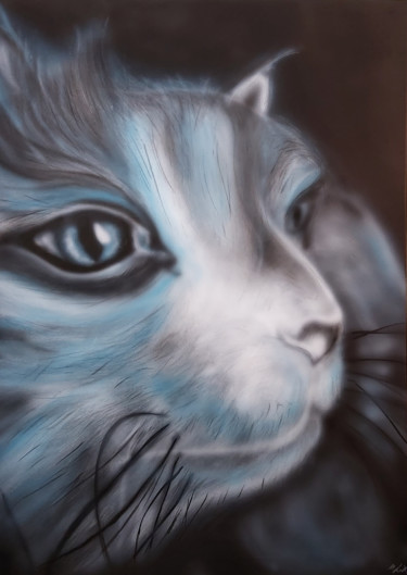 绘画 标题为“Bluecat” 由Matthias Lietz, 原创艺术品, 喷枪