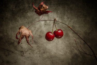 Photographie intitulée "Cerisier" par Jean-François Mansencal, Œuvre d'art originale, Photographie numérique