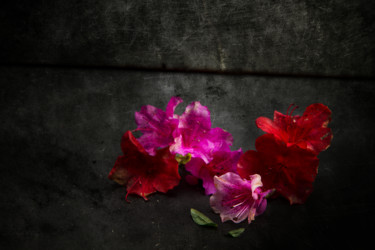 Photographie intitulée "Taches fuchsia" par Jean-François Mansencal, Œuvre d'art originale, Photographie numérique