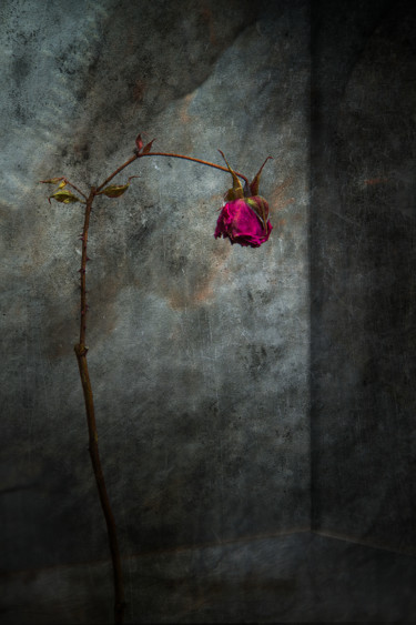 Photographie intitulée "Révérence" par Jean-François Mansencal, Œuvre d'art originale, Photographie numérique
