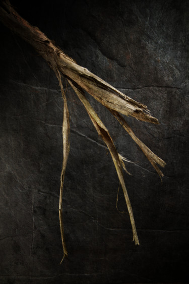 Photographie intitulée "Fracture" par Jean-François Mansencal, Œuvre d'art originale, Photographie numérique