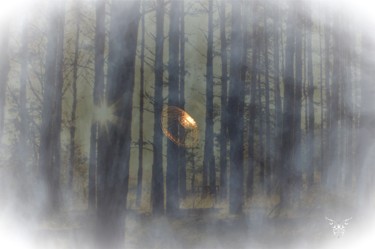 Fotografie mit dem Titel "Forêt lumineuse" von Dominique Guillaume, Original-Kunstwerk, Digitale Fotografie