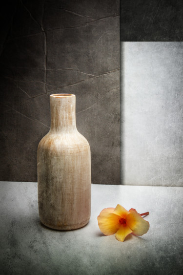 Photographie intitulée "Dernière fleur" par Jean-François Mansencal, Œuvre d'art originale, Photographie numérique