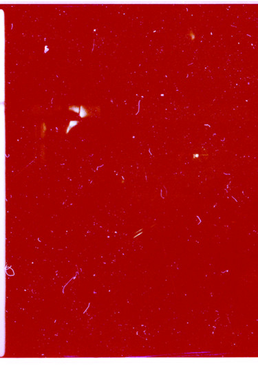 Fotografie mit dem Titel "Dust" von Irina Kromm, Original-Kunstwerk, Analog Fotografie