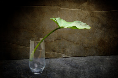 Photographie intitulée "Feuille 1" par Jean-François Mansencal, Œuvre d'art originale, Photographie numérique