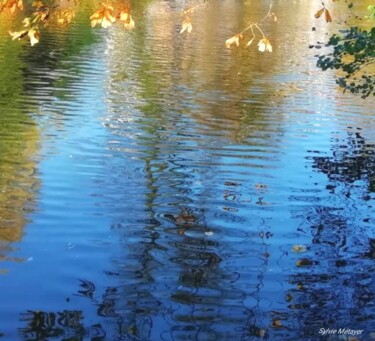 Photography titled "Reflet" by Sylvie Metayer, Original Artwork, Digital Painting