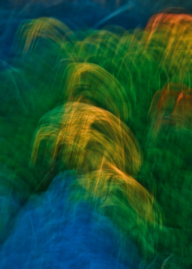 Les graminées colorées Fotografía titulada "Les graminées color…" por Céline Pivoine Eyes, Obra de arte original, Fotografía digital