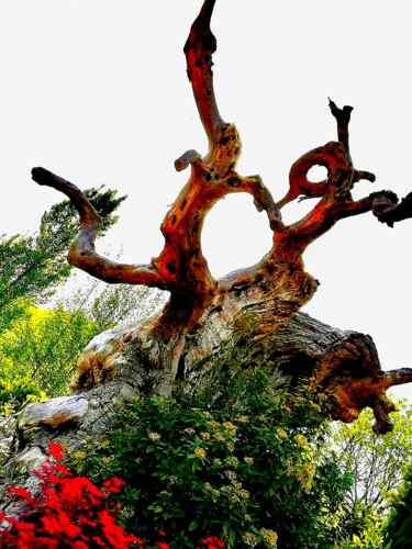 Digital Arts με τίτλο "Demoni" από Peppeluciani, Αυθεντικά έργα τέχνης, 2D ψηφιακή εργασία