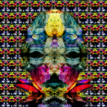 Digitale Kunst getiteld "Ghostnet art - 1" door Mangani', Origineel Kunstwerk, Digitaal Schilderwerk