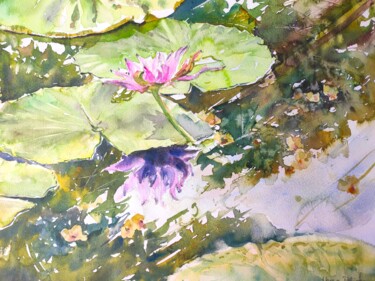 Pink Lotus in a Pond