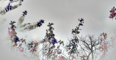 Fleurs d'hiver Photographie intitulée "Fleurs d'hiver" par Michel Guillaumeau, Œuvre d'art originale, Photographie manipulée