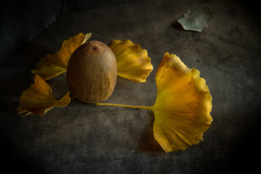 Photographie intitulée "Kiwi" par Jean-François Mansencal, Œuvre d'art originale, Photographie numérique