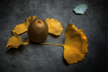 Photographie intitulée "kiwi 2" par Jean-François Mansencal, Œuvre d'art originale, Photographie numérique