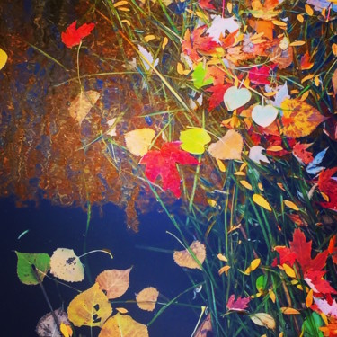 Photographie intitulée "FLUIDITE VEGETALE" par Jean-Luc Osswald, Œuvre d'art originale, Photographie numérique