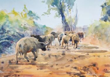 Buffalos in the South Luangwa II.