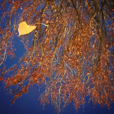 Photographie intitulée "LE CŒUR SUSPENDU" par Jean-Luc Osswald, Œuvre d'art originale, Photographie numérique