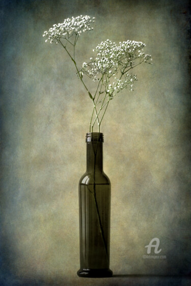 「The olive oil bottl…」というタイトルの写真撮影 Barbara Corvinoによって, オリジナルのアートワーク, デジタル