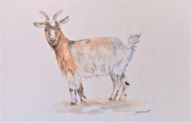 chèvre naine - aquarelle originale signée Painting titled "chèvre naine - aqu…" by Patricia Giroldini Hyvernat, Original Artwork, Watercolor
