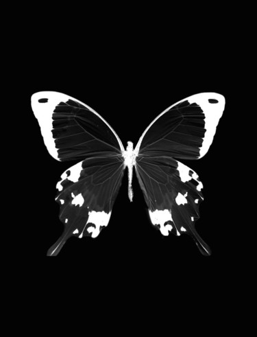 Digital Arts titled "Noir et blanc butte…" by Maria Iacuzzi (SIMPLE ART), Original Artwork, Digital Painting