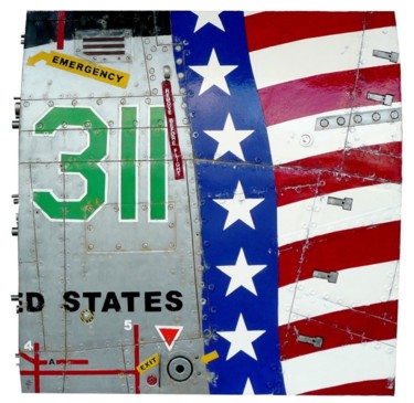雕塑 标题为“AMERICAN PLANE 311” 由Jerome Chauvin (JICE), 原创艺术品, 丙烯