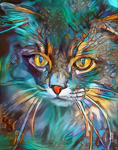 Nikky  cat