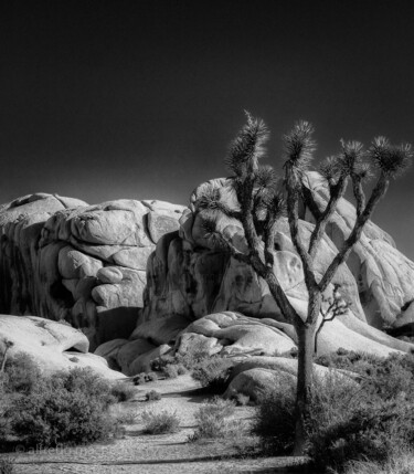 「Death Valley, Calif…」というタイトルの写真撮影 Alfredo Machado Zinggによって, オリジナルのアートワーク, デジタル