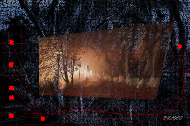 Roots and Autumn Arts numériques intitulée "Roots and Autumn" par Marc Bulyss, Œuvre d'art originale, Peinture numérique