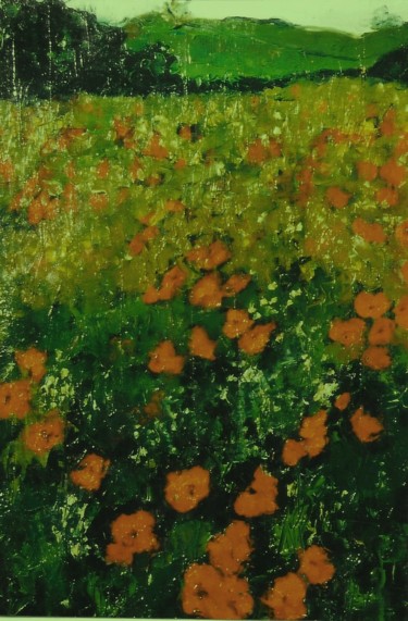Campo di papaveri