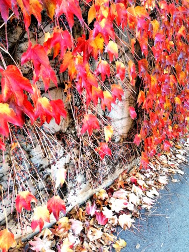 제목이 "Rosse le foglie d'a…"인 디지털 아트 Peppeluciani로, 원작, 2D 디지털 작업