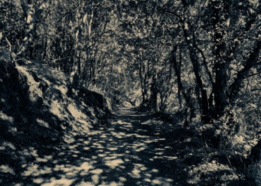 제목이 "Shadows road"인 사진 Larisa Siverina로, 원작, 조작되지 않은 사진