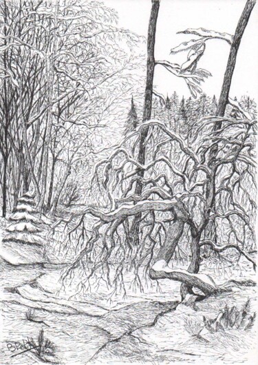 Drawing titled "Faux de Verzy 1" by Benjamin Petit, Original Artwork, Ink