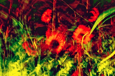 Arts numériques intitulée "flowers abstract ni…" par Gaudi .C, Œuvre d'art originale, Peinture numérique