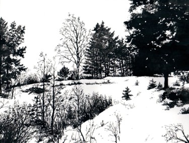 图画 标题为“Among the Winter 11…” 由Владимир Абаимов, 原创艺术品, 墨