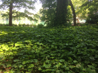 Photography titled "Tapis vert" by Camille R., Original Artwork, Non Manipulated Photography