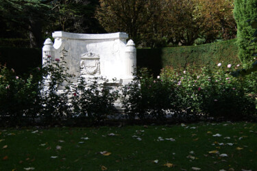 Photographie intitulée "Pierre blanche" par Camille R., Œuvre d'art originale, Photographie non manipulée