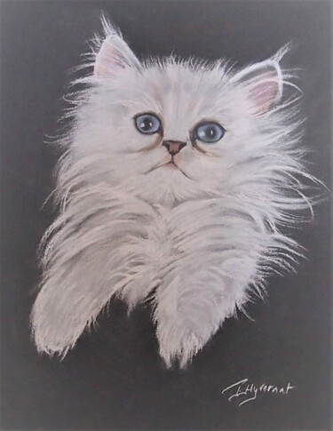 "neige" chatte persane- pastel original signé Peinture intitulée ""neige" chatte pers…" par Patricia Giroldini Hyvernat, Œuvre d'art originale, Pastel