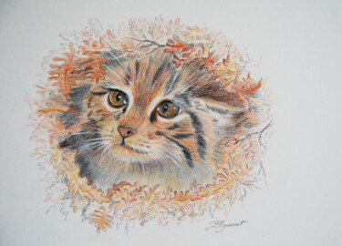 Tekening getiteld "chaton sauvage- des…" door Patricia Giroldini Hyvernat, Origineel Kunstwerk, Potlood