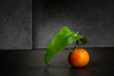 Photographie intitulée "Clémentine 1" par Jean-François Mansencal, Œuvre d'art originale, Photographie numérique