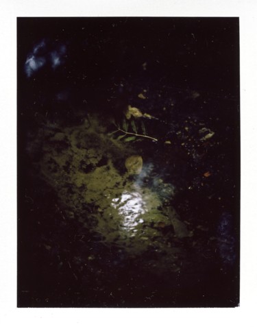 "Polaroid10" başlıklı Fotoğraf Michal Vojkuvka tarafından, Orijinal sanat, Analog Fotoğrafçılık