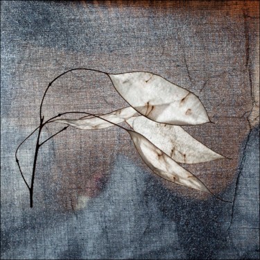 제목이 "Leaves 2"인 사진 Hrnjak Maja로, 원작, 디지털
