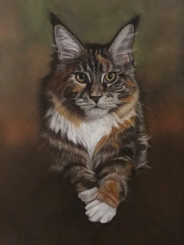 Dessin intitulée "« Caoimhe » Maine C…" par Jess.C.Art, Œuvre d'art originale, Pastel
