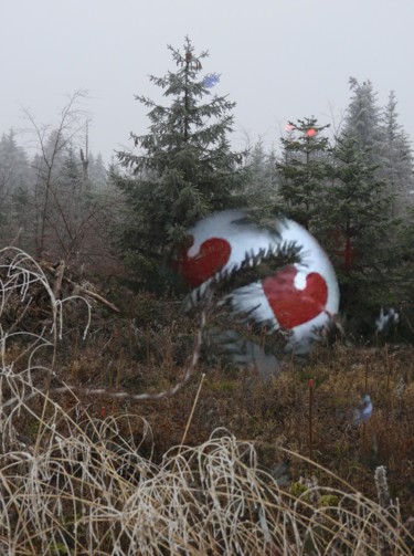 Rencontre sous un sapin